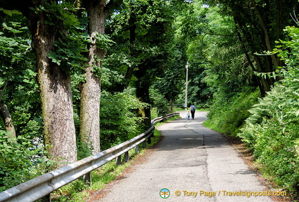 Drive down from Marksburg castle